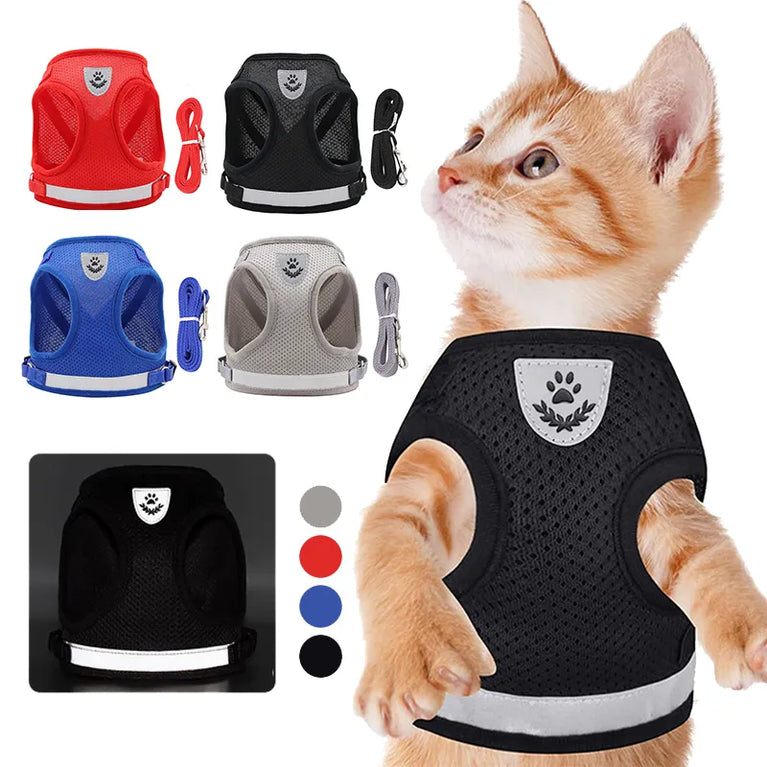 Cat chest vest