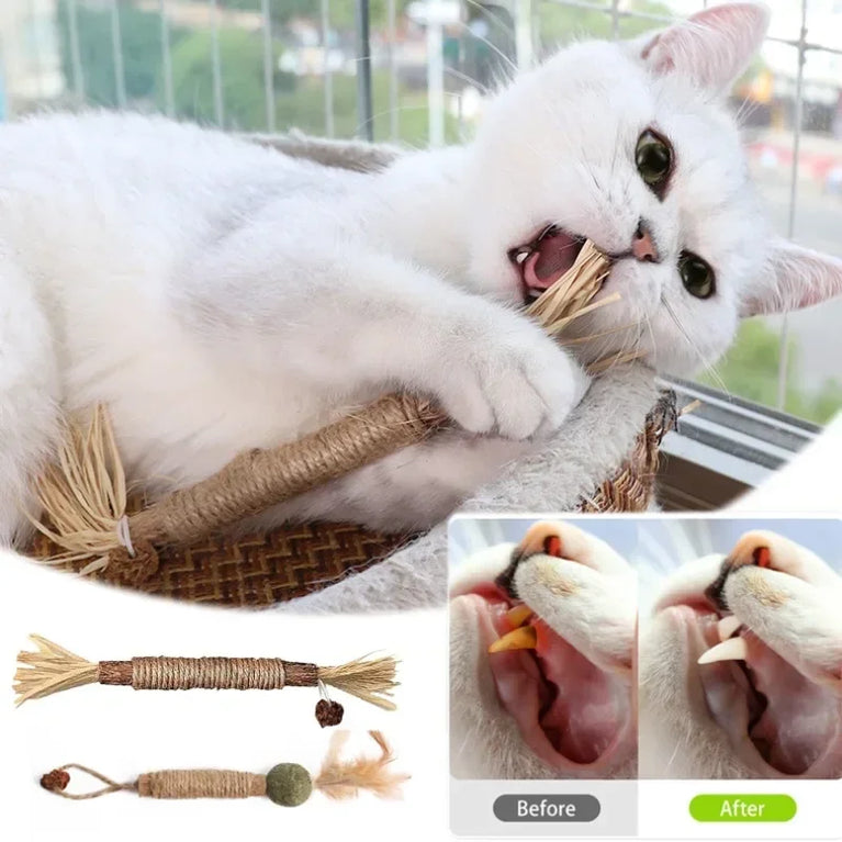 Chew stick for beautiful cats