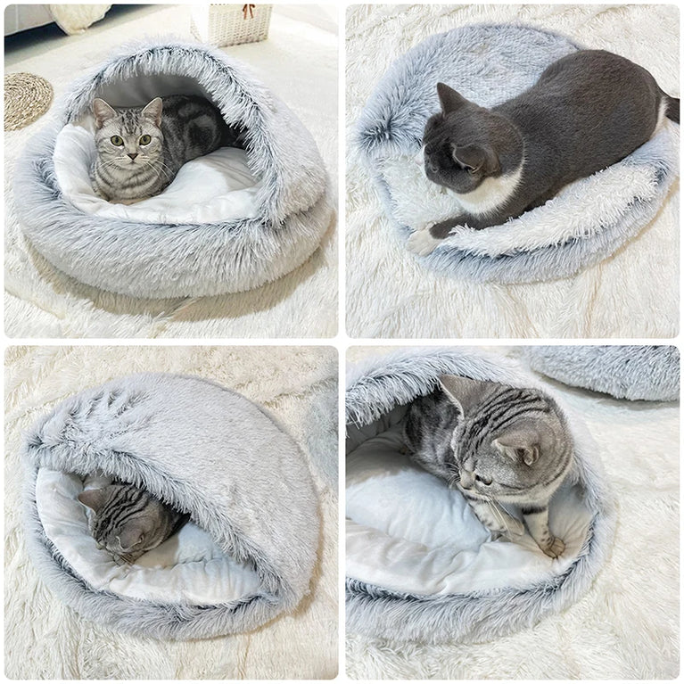 Beautiful cat round bed