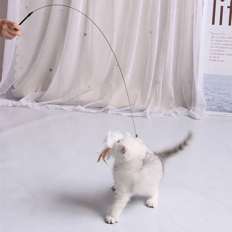 Cat Toy Funny Cat Toys Interactive
