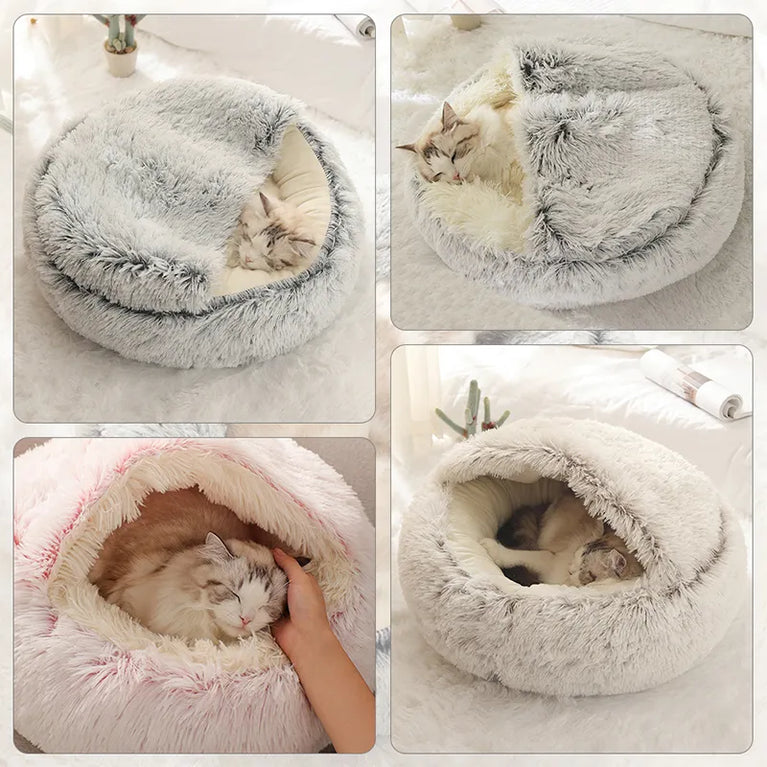 Beautiful cat round bed