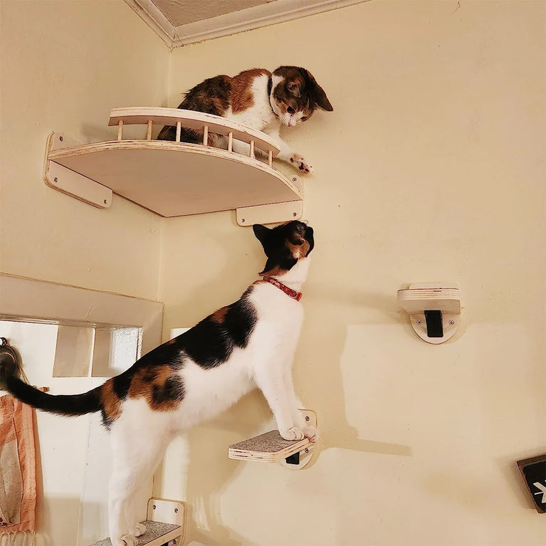Cat Climbing Shelf
