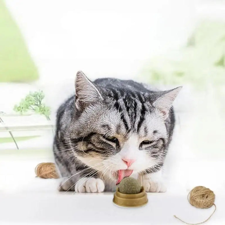 Natural Catnip Cat Ball Cat Toys