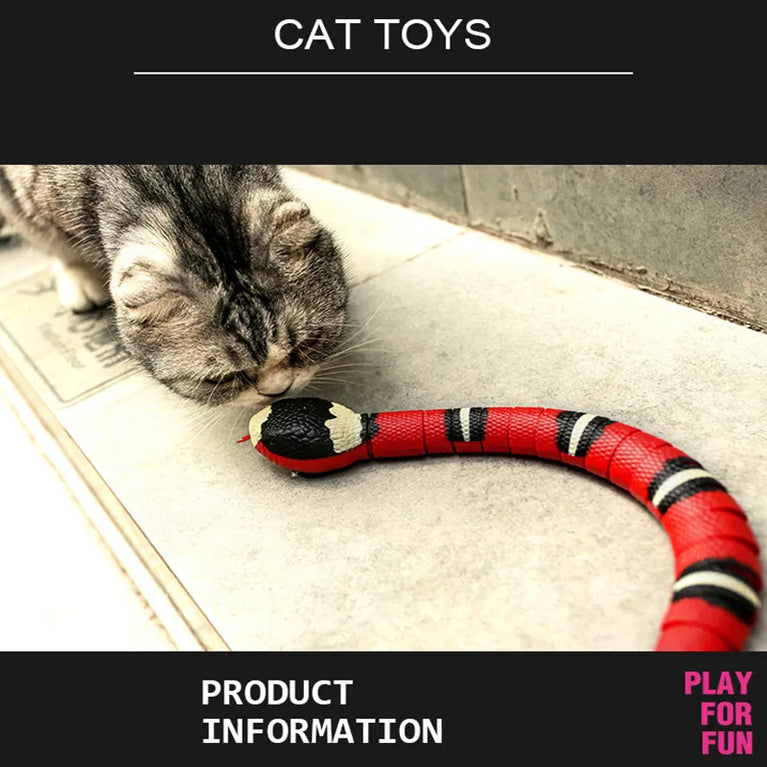 Automatic cat toys