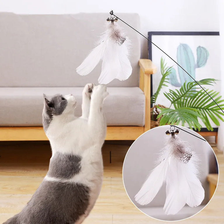 Cat Toy Funny Cat Toys Interactive