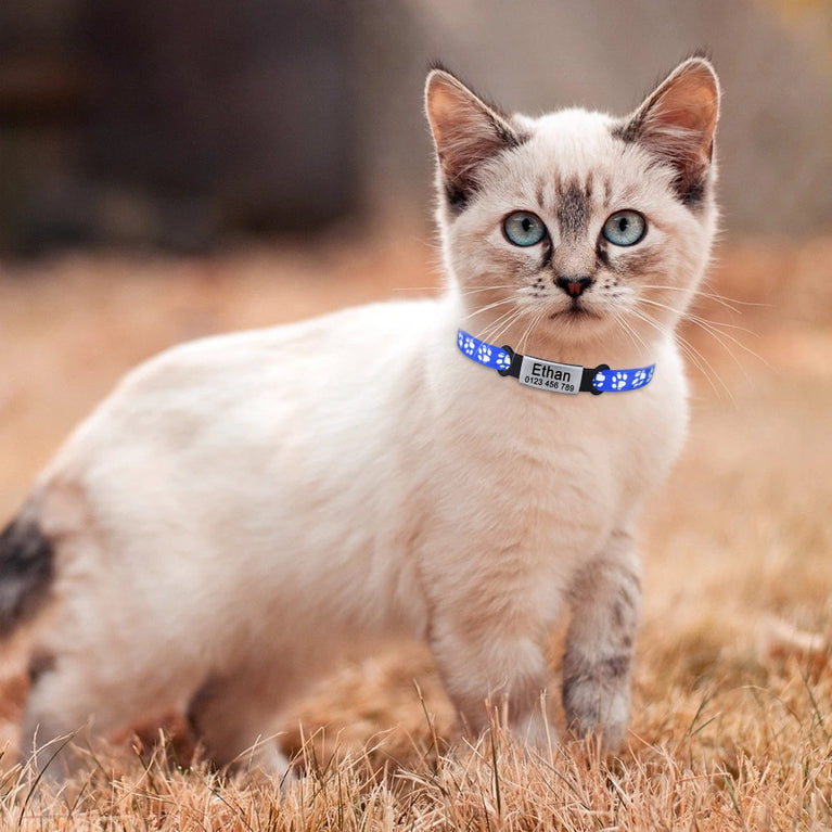 Nylon Cat Collar Bell