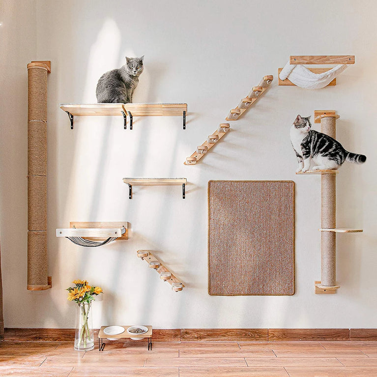 Cat Climbing Shelf