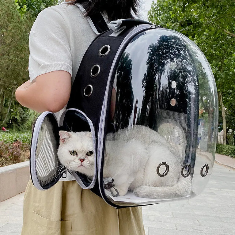 Cat Carrying Bag Space Pet