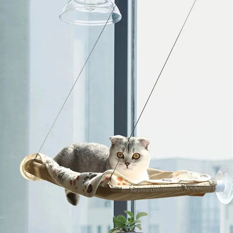 Cat Hammock Aerial