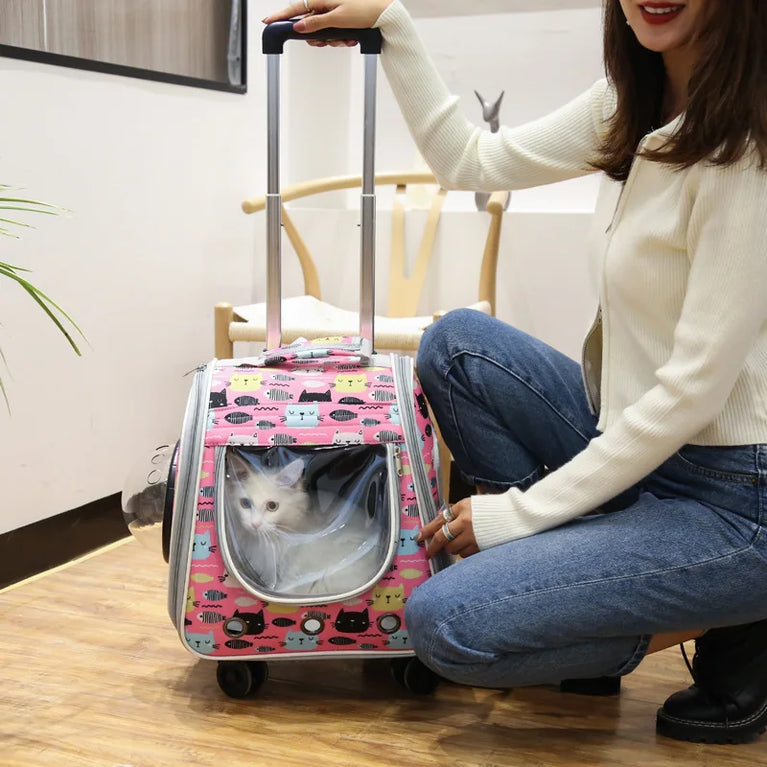 Pet Backpack Cat